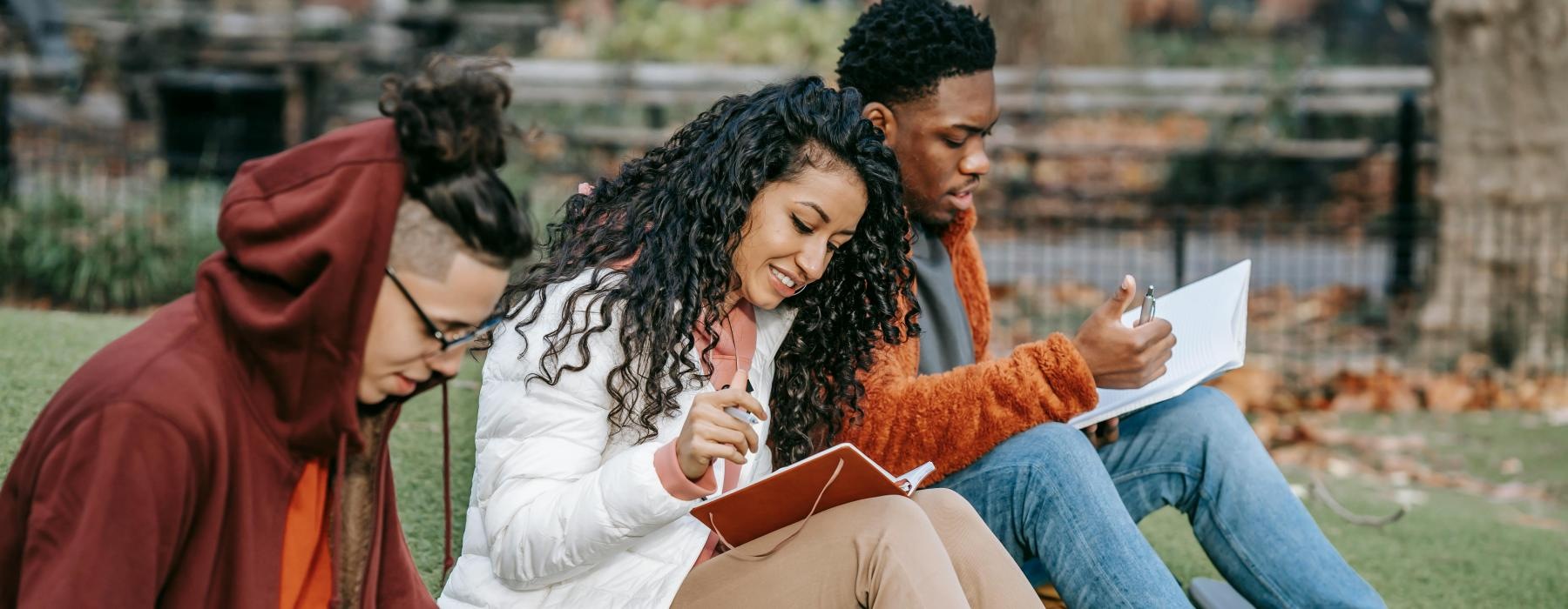 a group of people sitting on a grassy hill looking at a laptop
